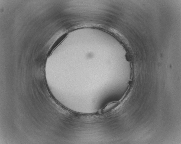 X0000076061185200610152155