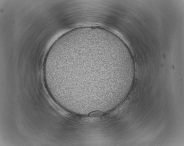 X0000076061187200610152155