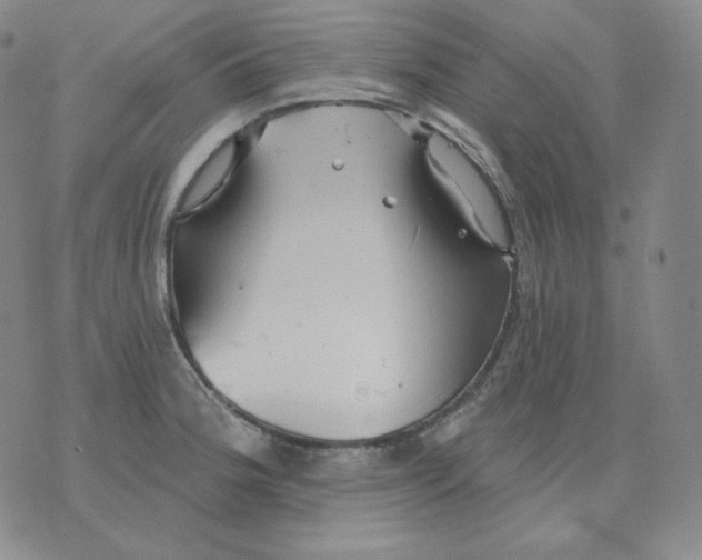 X0000076061188200610152155