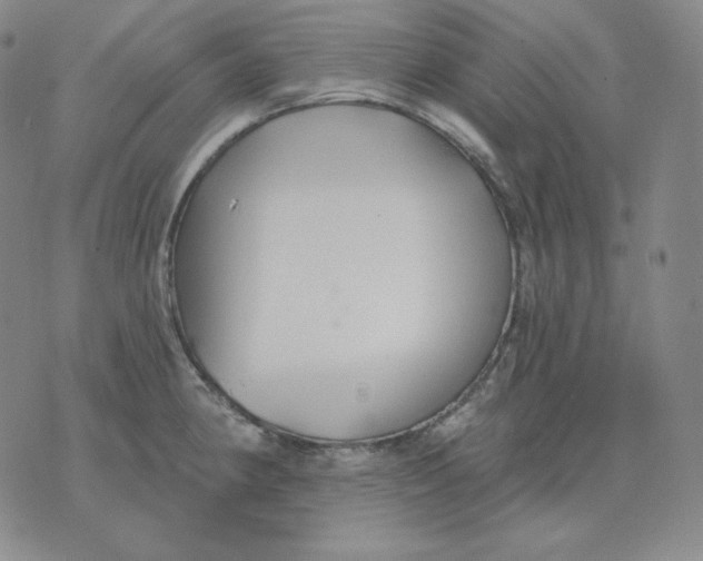 X0000076061190200610152155