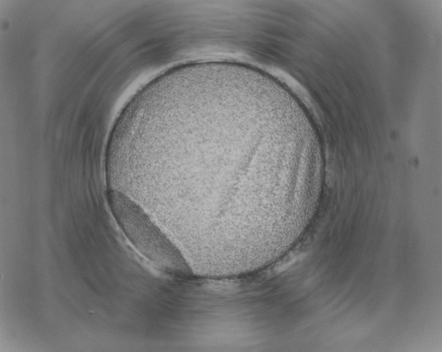 X0000076061191200610152155