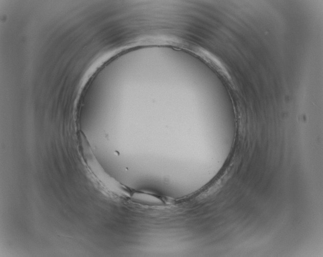 X0000076061192200610152155