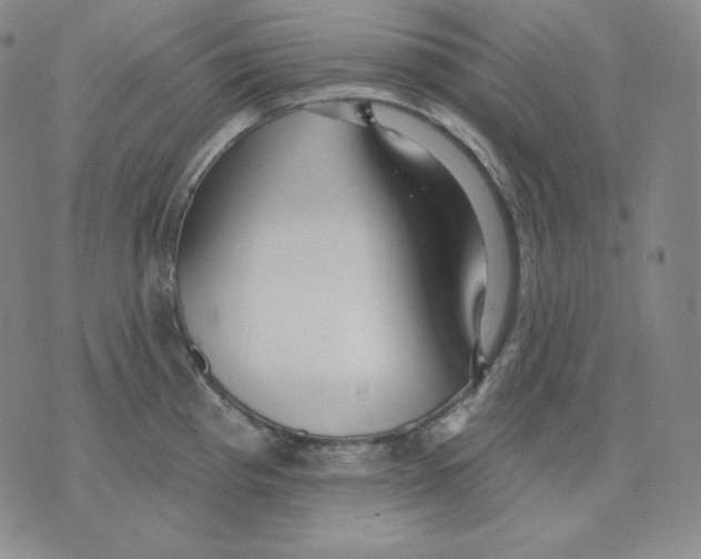 X0000076061193200610152154