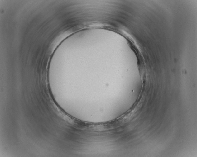 X0000076061194200610152154