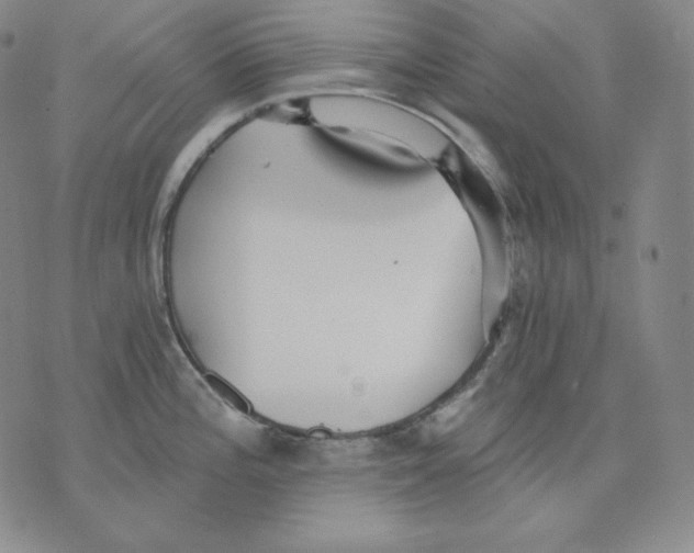 X0000076061196200610152154