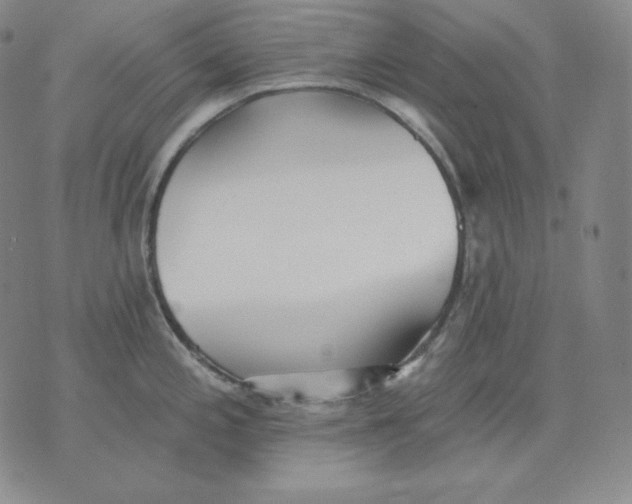 X0000076061197200610152154