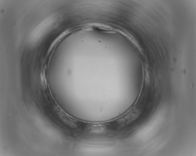 X0000076061198200610152154