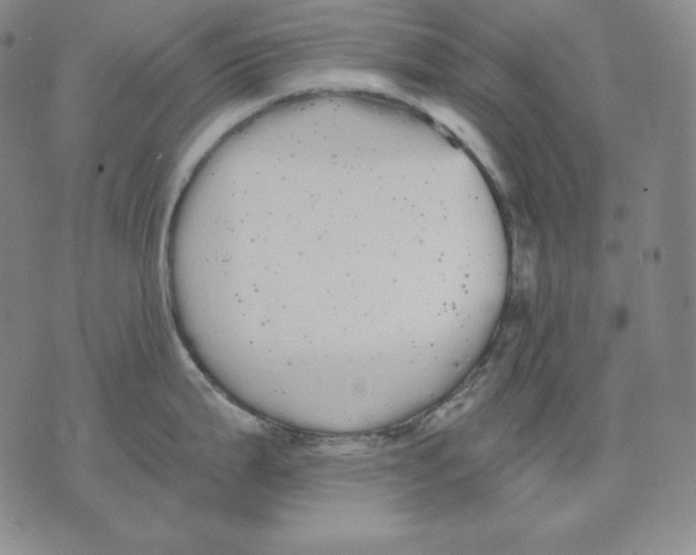 X0000076061199200610152154