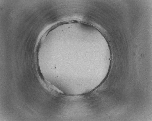 X0000076061200200610152154