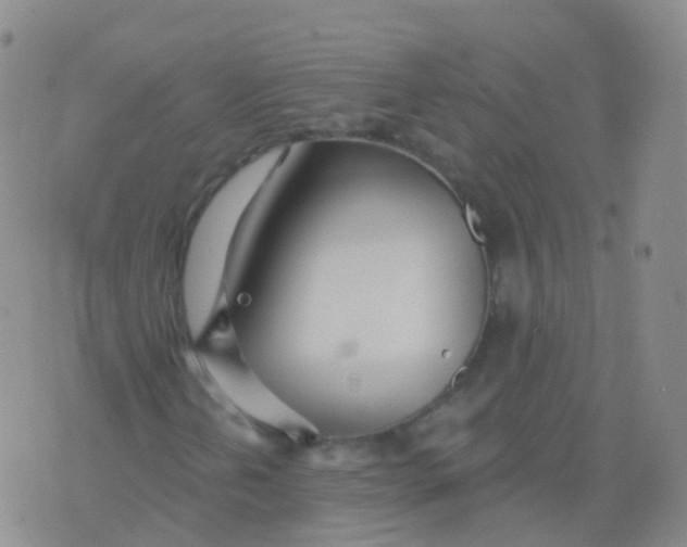 X0000076061202200610152154