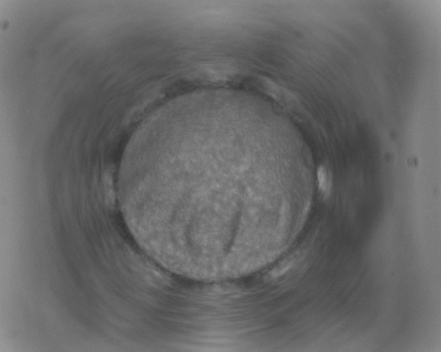 X0000076061203200610152154