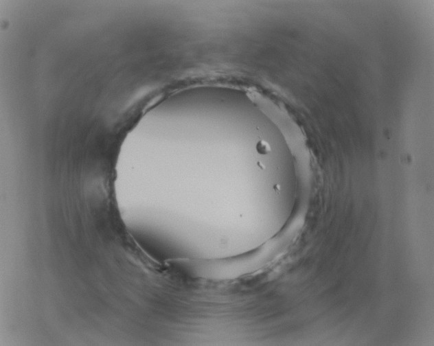 X0000076061206200610152154