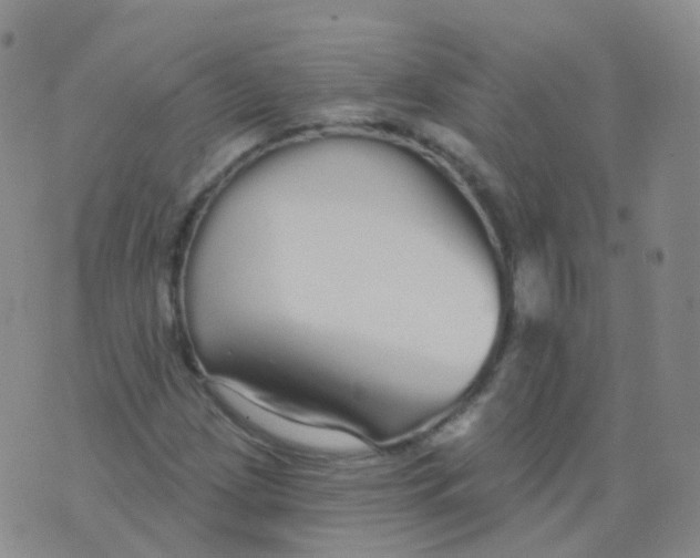 X0000076061209200610152154