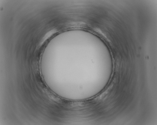 X0000076061211200610152154