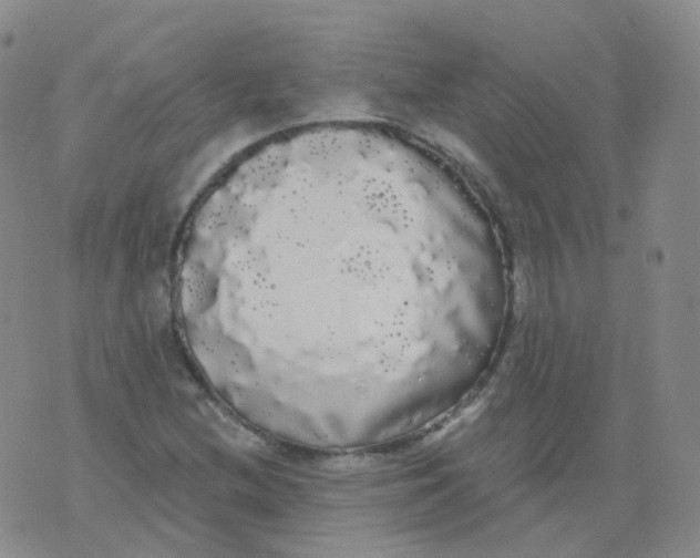 X0000076061212200610152154