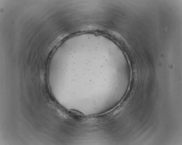 X0000076061217200610152154