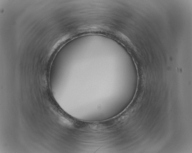 X0000076061218200610152154