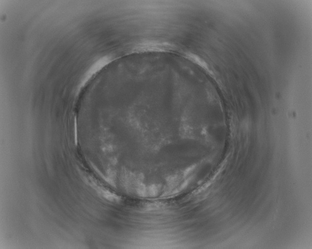 X0000076061219200610152154