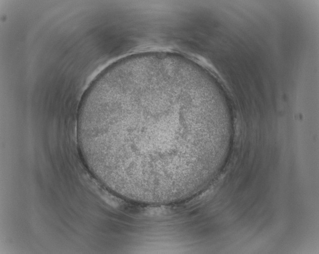 X0000076061220200610152154