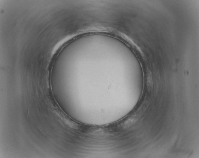 X0000076061222200610152154