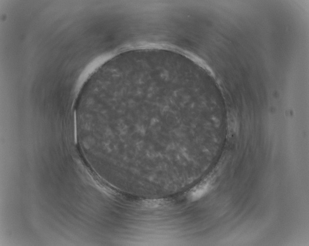 X0000076061223200610152154