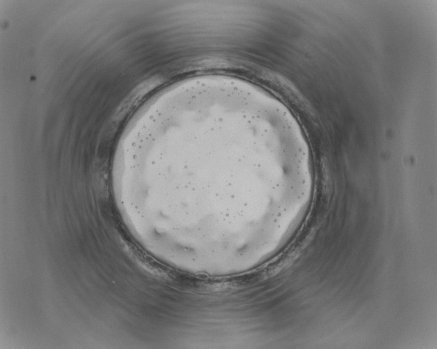 X0000076061225200610152154