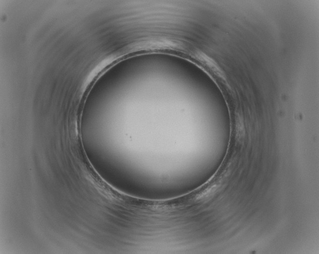 X0000076061226200610152154