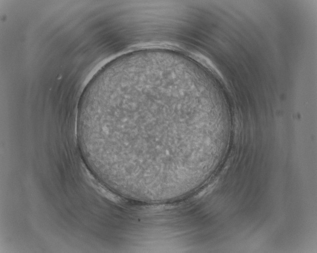 X0000076061228200610152154