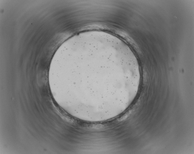 X0000076061233200610152154