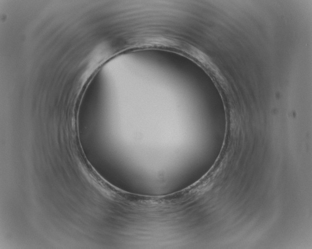 X0000076061234200610152154