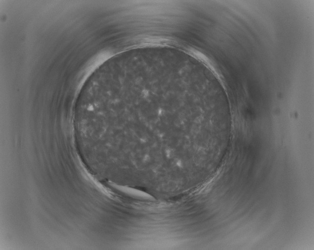 X0000076061235200610152154