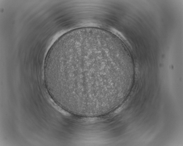 X0000076061236200610152154