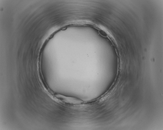 X0000076061237200610152154