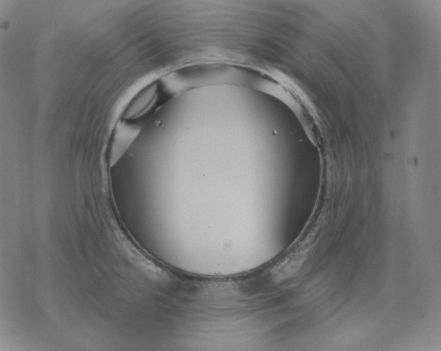 X0000076061238200610152154