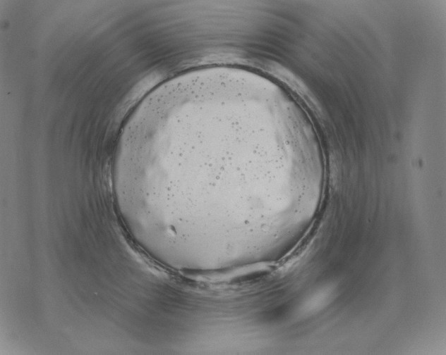 X0000076061241200610152154