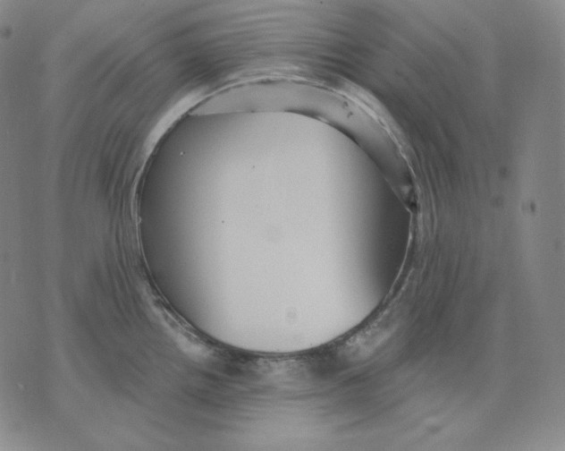 X0000076061242200610152154