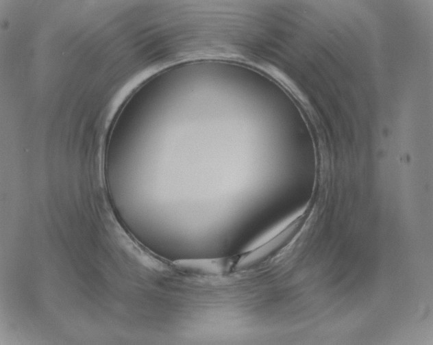 X0000076061246200610152154