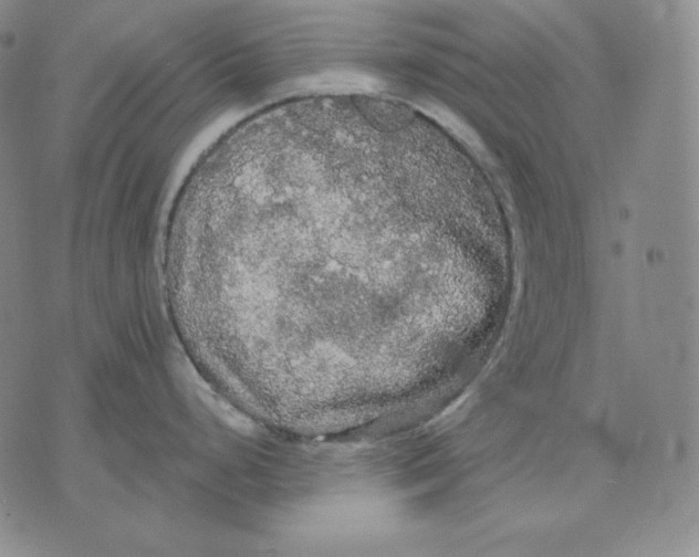 X0000076061248200610152154