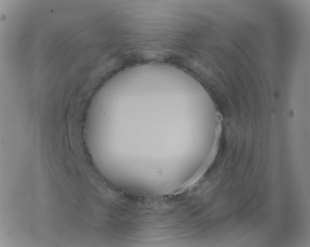 X0000076061249200610152154