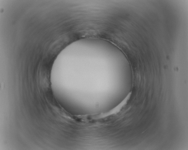 X0000076061250200610152154