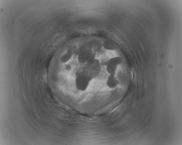 X0000076061251200610152154