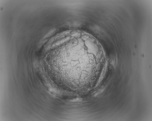 X0000076061252200610152154