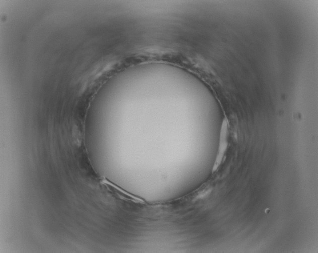 X0000076061253200610152154