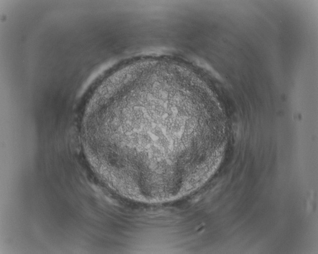 X0000076061256200610152153