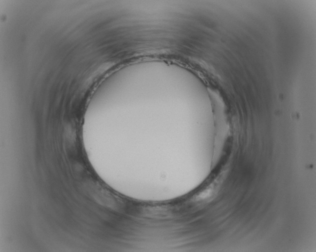 X0000076061257200610152153