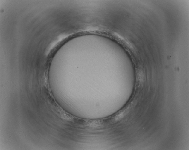 X0000076061262200610152153