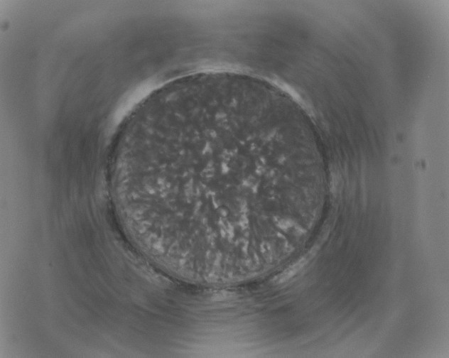 X0000076061263200610152153