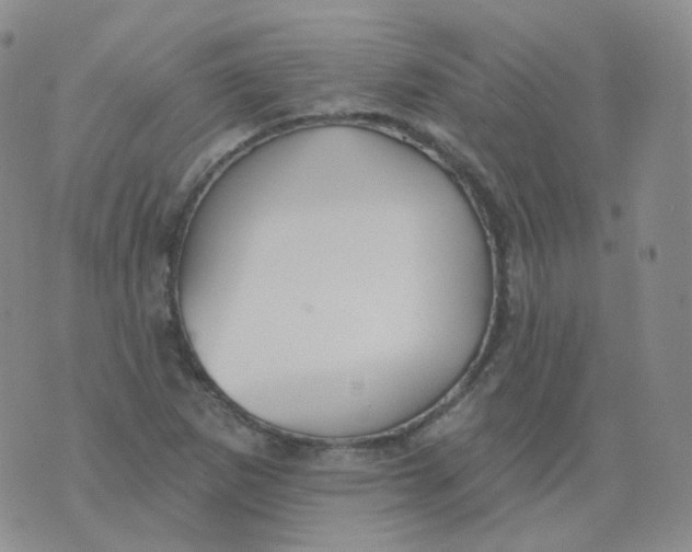 X0000076061265200610152153