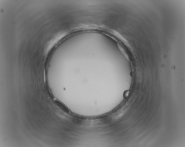 X0000076061269200610152153