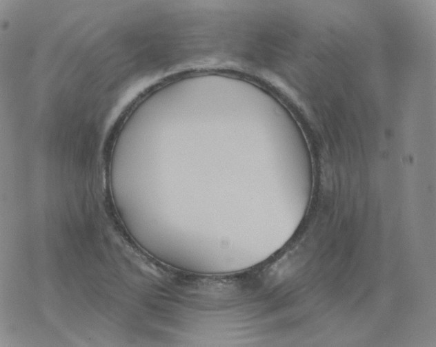 X0000076061270200610152153